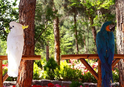 مکان های دیدنی تهران را بشناسیم-مسعودیه