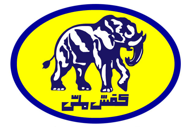 امیر اشکوری به عنوان سرپرست شرکت کفش ملی منصوب شد