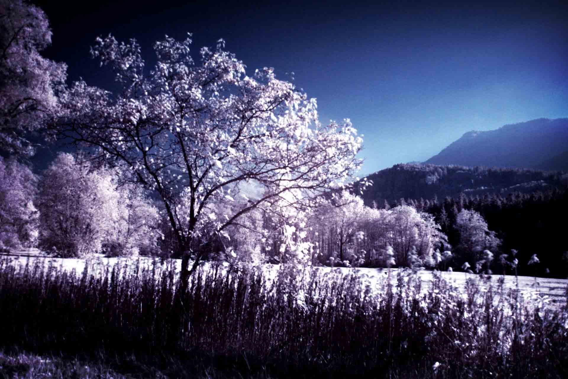 ﻣﻘﺎﻟﻪ ﺍﯼ ﺗﮑﺎﻥ ﺩﻫﻨﺪﻩ ﺍﺯ ﻭﻟﻔﮕﺎﻧﮓ ﭘﺎﻭﻟﯽ – ﺑﺮﻧﺪﻩ ﺟﺎﯾﺰﻩ ﻧﻮﺑﻞ ﻓﯿﺰﯾﮏ ﺩﺭ ﺳﺎﻝ ۱۹۴۵