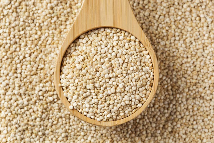 حل معضل غذا در جهان آینده با پروتئین گیاهی