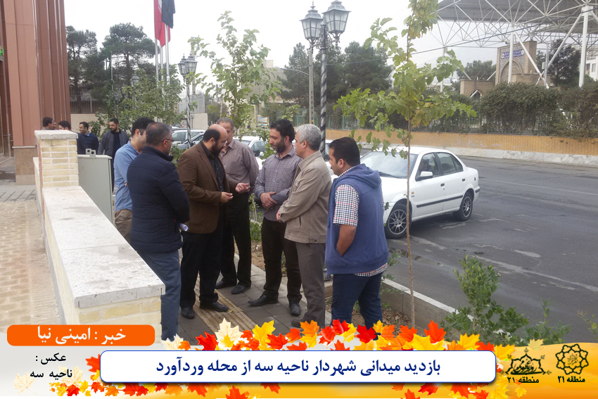 بازدید میدانی شهردار ناحیه سه از محله وردآورد