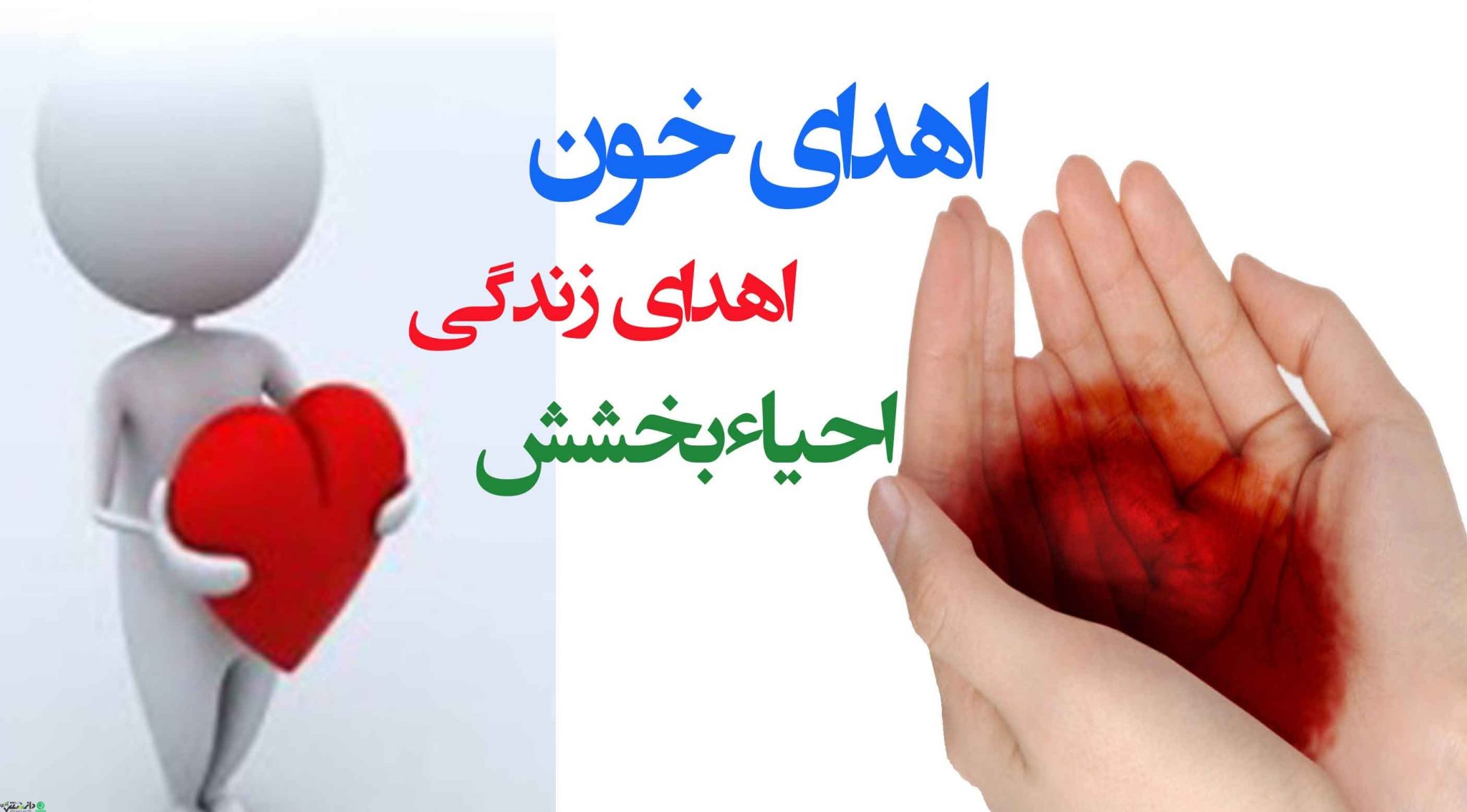 تجلي شعار ” اهداي خون، اهداي زندگي، احياء بخشش ” در پالايشگاه نفت پارس