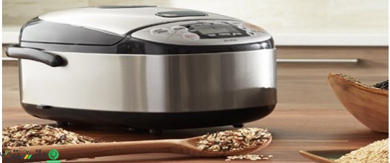 عیب یابی و تعمیرات پلوپز برقی – بخش دوم