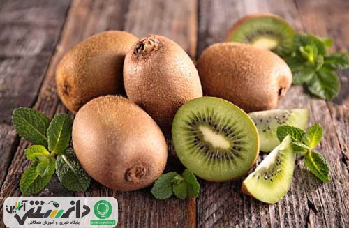 خواص و فوائد و مضرات میوه کیوی + ویدئو