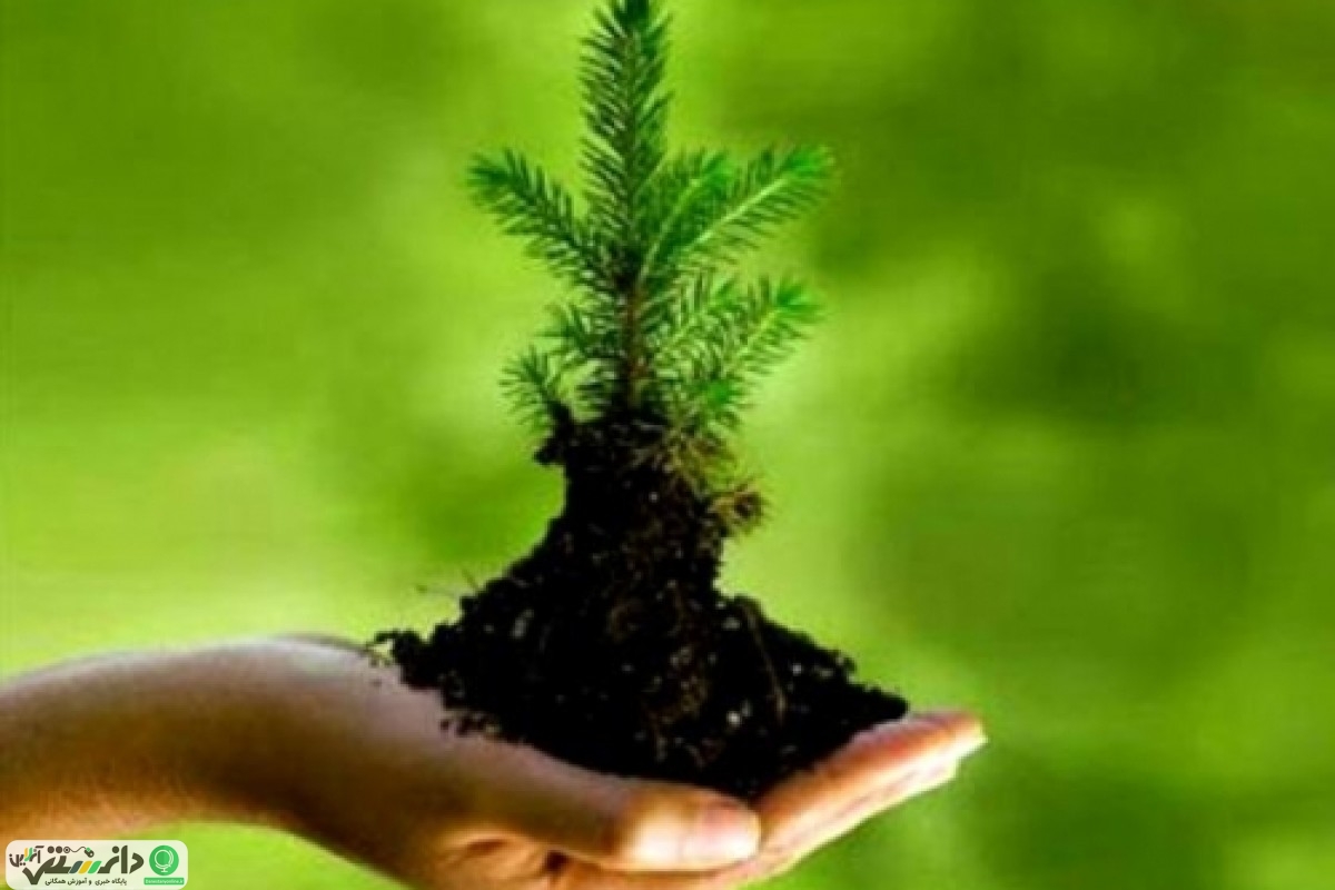 روشهایی ساده برای حفاظت از محیط زیست