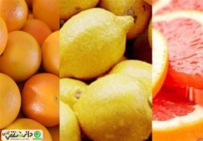 کاهش عوارض چاقی با مرکبات