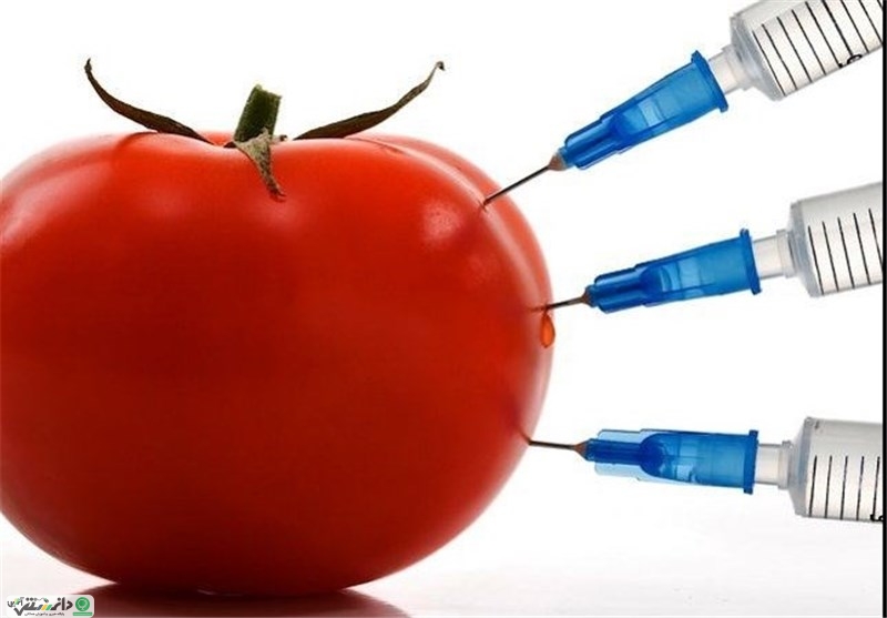 گیاه تراریخته چیست و چه تفاوتی با محصولات اصلاح شده دارد ؟+ویدئو