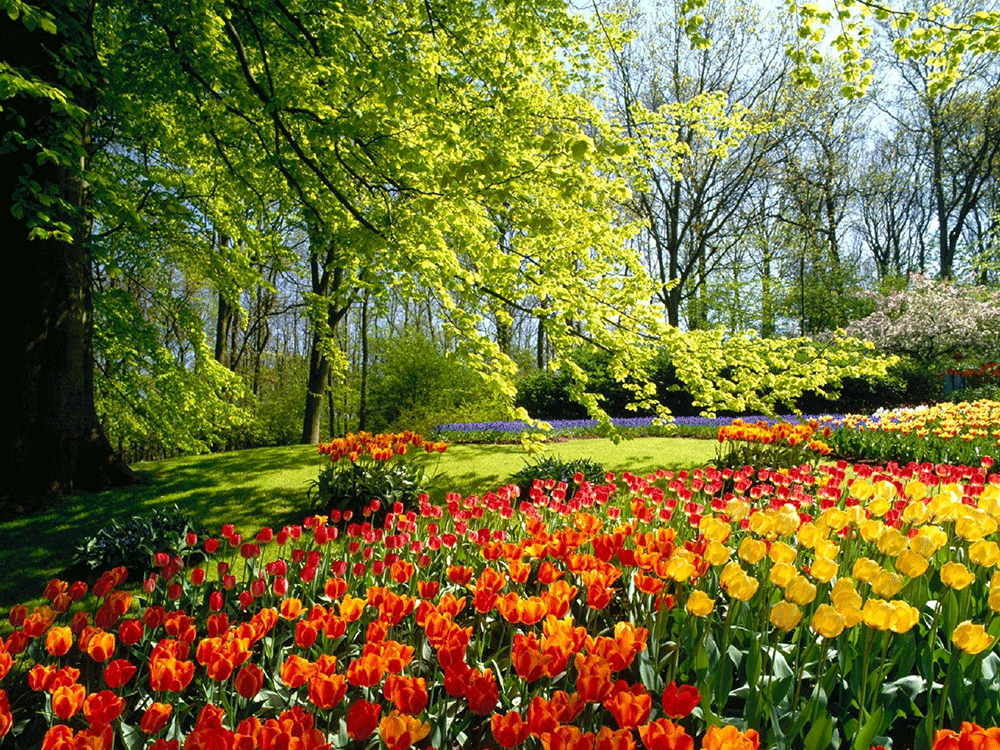 دانستنی هایی از طبیعت