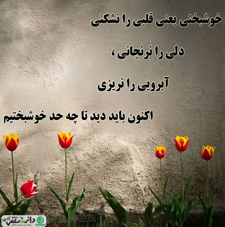 با ۴۱ حقیقت مهم زندگی آشنا شوید