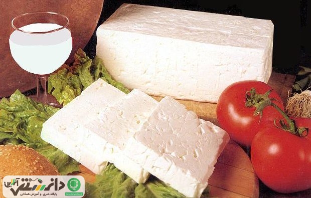 اگر این علائم را دارید به پنیر نزدیک نشوید