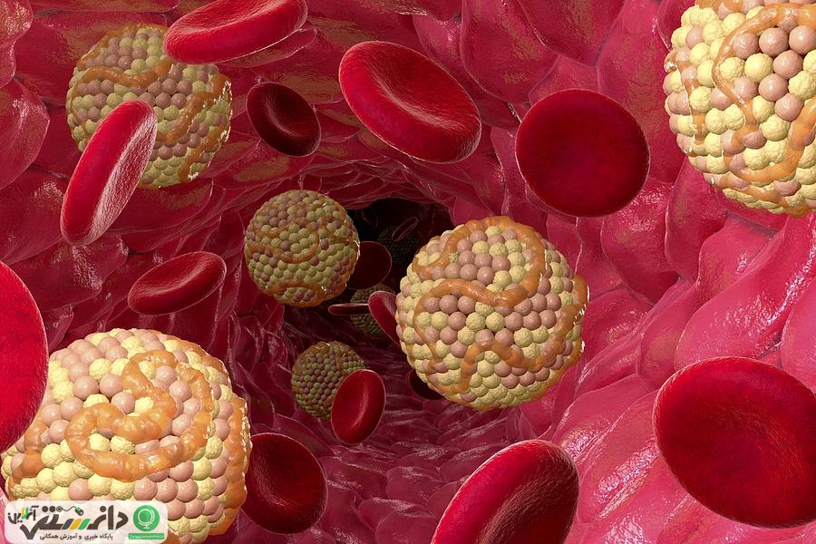 دانستنی هایی در مورد کلسترول و روش های کاهش آن + اینفوگرافیک