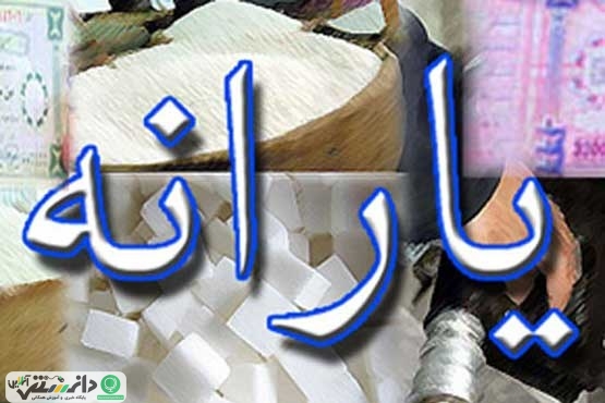 دو انتخاب دولت درپرداخت یارانه نقدی