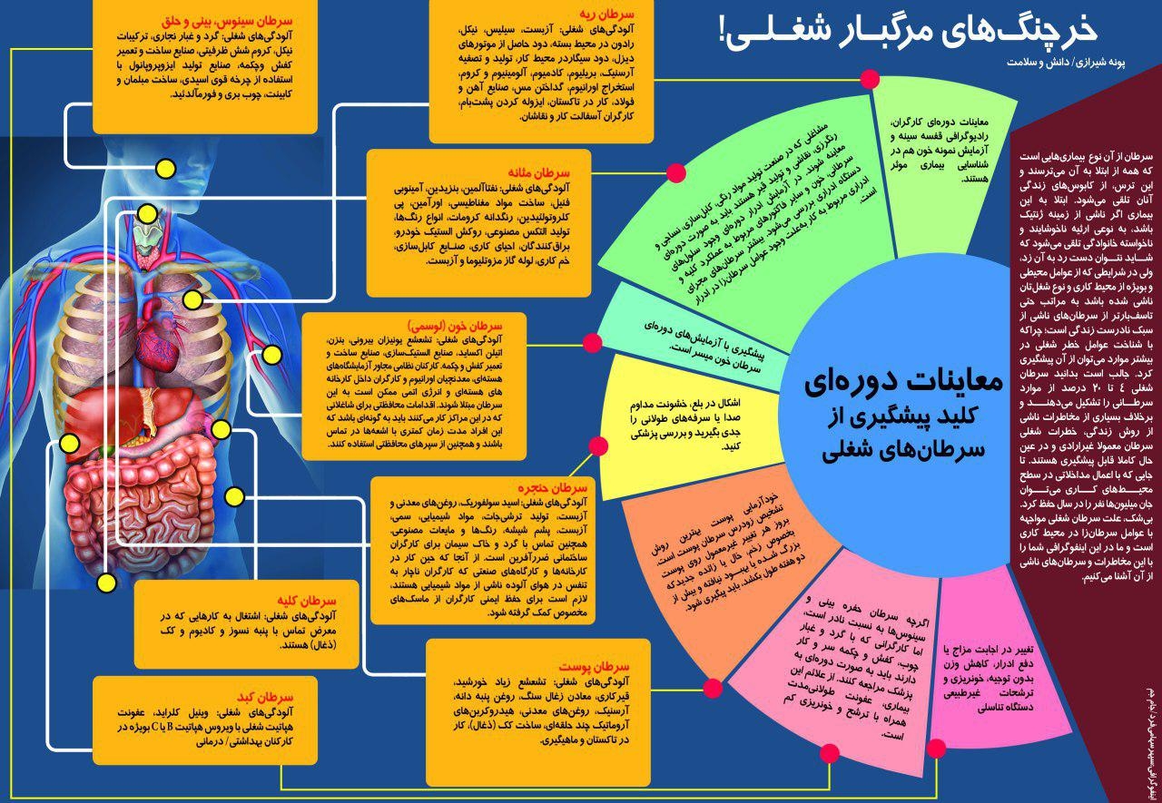 شغل شما مستعد چه نوع سرطانی است ؟+اینفوگرافیک