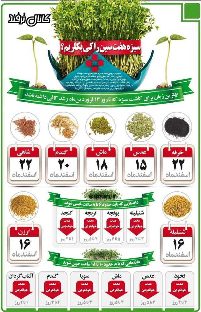 مناسب ترین زمان کاشت و پرورش سبزه انواع بذرها برای عید +اینفوگرافیک