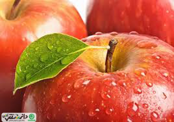 خواص غذایی و درمانی سیب +ویدئو