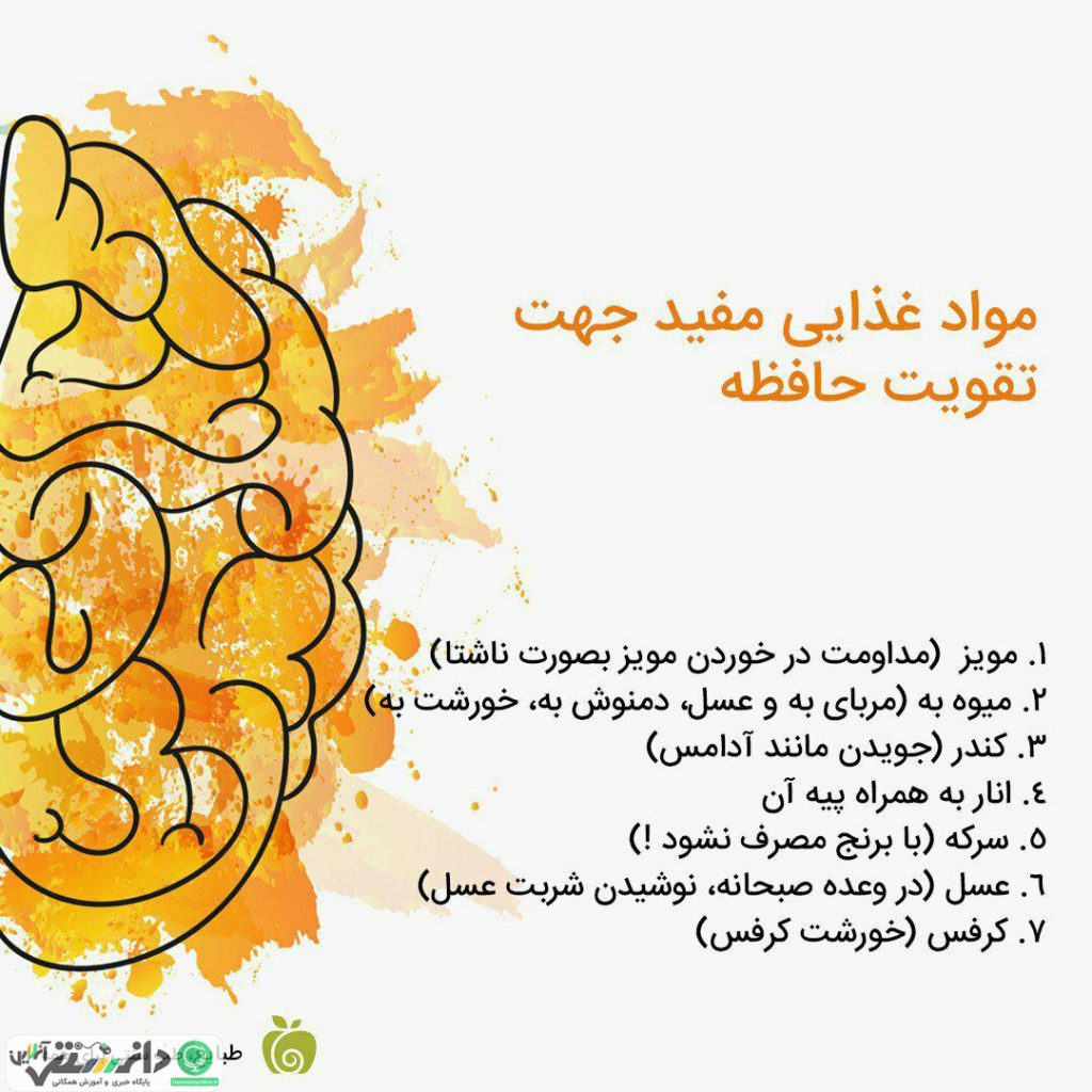 حافظه تان را با مواد غذایی مفید تقویت کنید