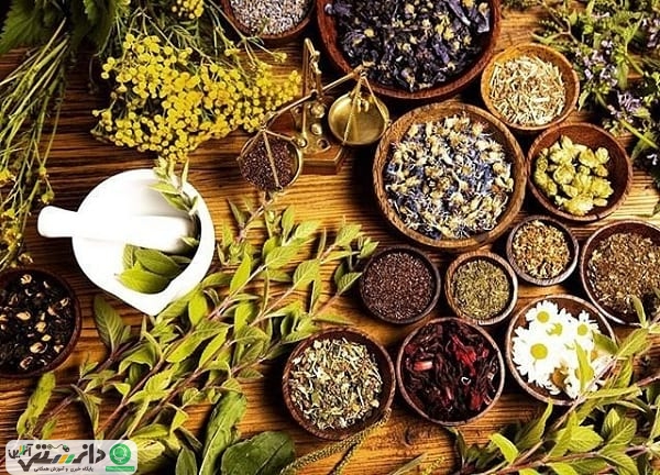 10 گیاه دارویی که باید همیشه درخانه داشته باشید