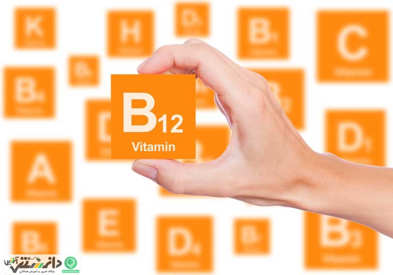 چرا به منابع غذایی حاوی B۱۲ نیاز داریم ؟