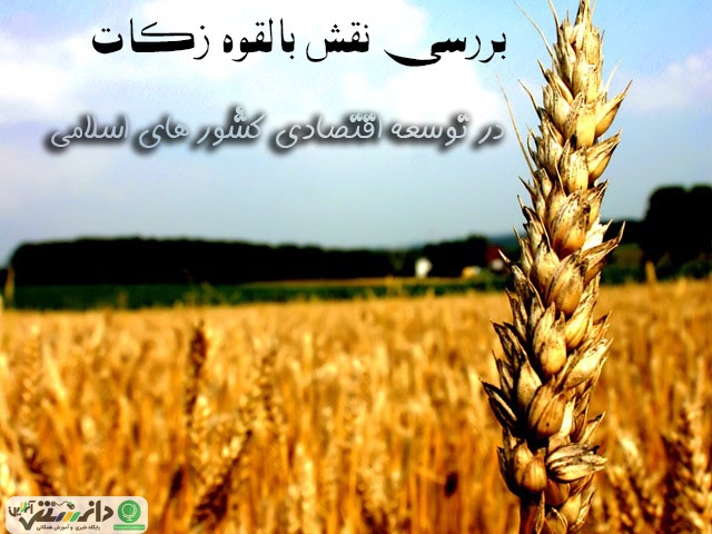 نقش پرداخت زکات فطره بر فقر زدایی و اقتصاد کشورهای اسلامی