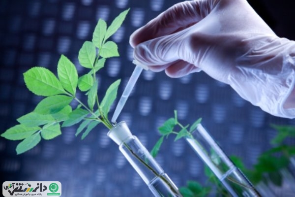 ایده های قابل سرمایه گذاری +اینفوگرافیک