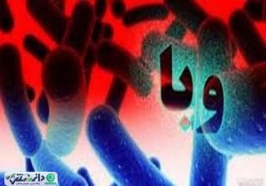 با غول کشنده ای به نام وبا آشنا شوید + اینفوگرافی