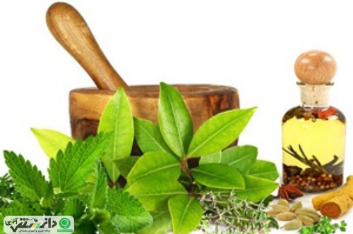 مسکنی طبیعی برای مهار دردهای استخوانی