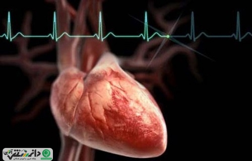 قلب هایى که با سلول درمانى مثل ساعت کار مى کنند
