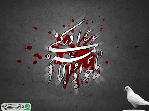 شرح مختصری از زندگینامه حضرت جوادالائمه (ع)