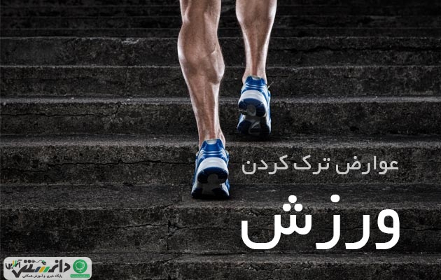 آن چه پس از ترک ورزش برای بدن رخ میدهد