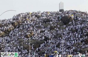 چه سرّی در عصر «عرفات» نهفته است؟
