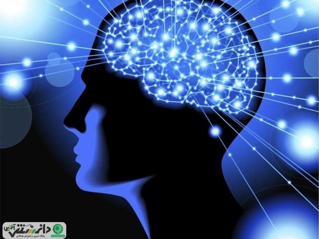آیا می دانید مغز چگونه کار می کند؟ +ویدئو