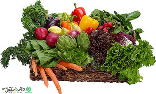 مواد غذایی سرشار از آهن را بشناسیم