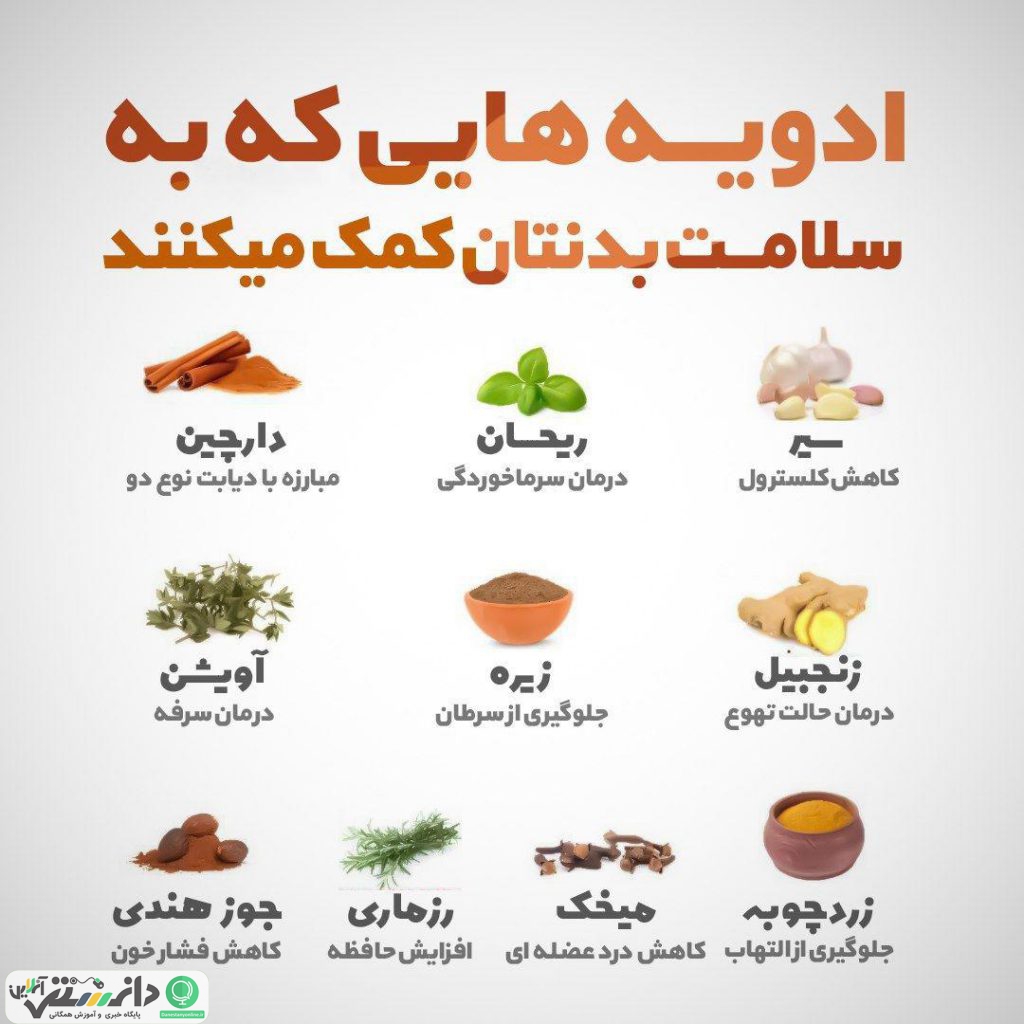 با خواص انواع ادویه ها بیشتر آشنا شویم
