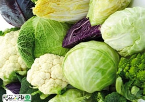 خواص مواد غذایی - با فواید انواع خوراکی آشنا شویم