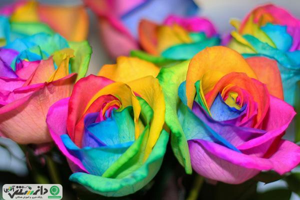 ترفندهای کاربردی و جالب برای زندگی روزمره