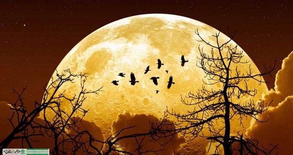 زیباترین و درخشان ترین ابرماه سال ۲۰۱۹