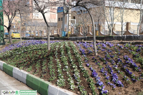 اقدامات شهرداری منطقه 5 تهران برای زیبا سازی