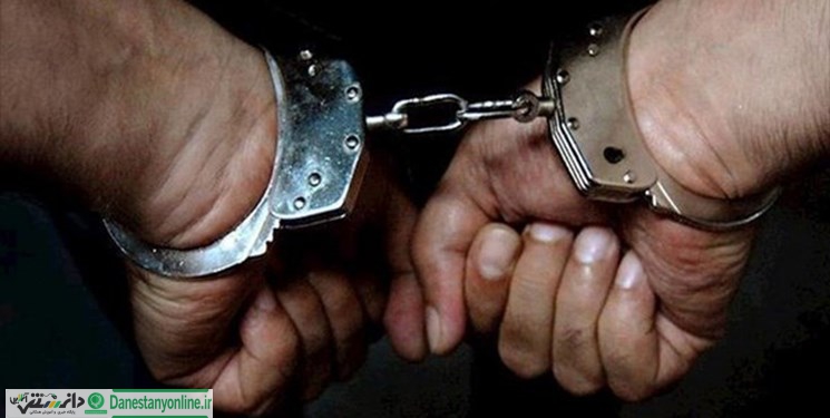 دستگیری یک شبکه ضدانقلاب در مشهد