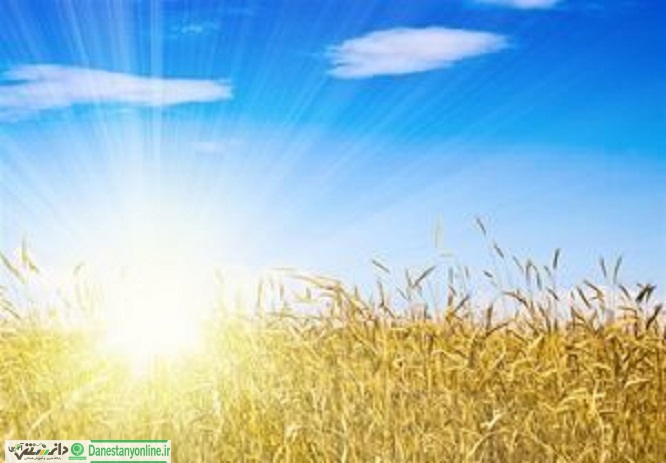 بخور و نخورهایی که طب ایرانی برای فصل گرما توصیه میکند