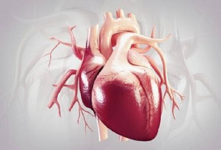 چه بخوریم که قلبمان سالم بماند؟