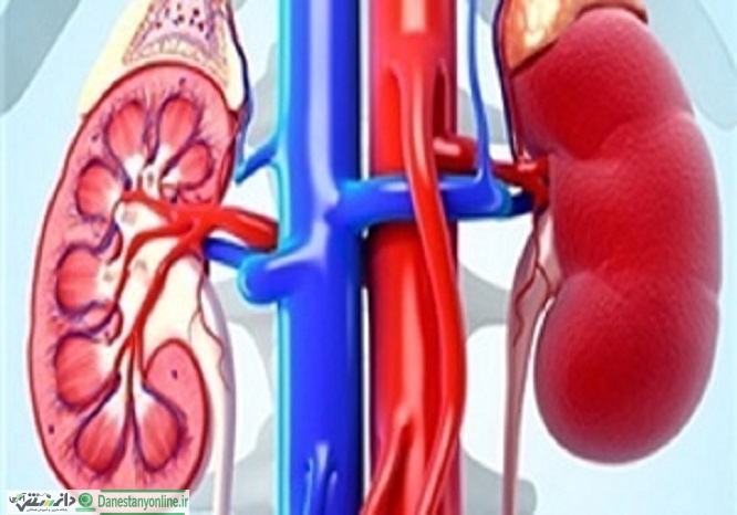 کلیههایتان را پاکسازی کنید