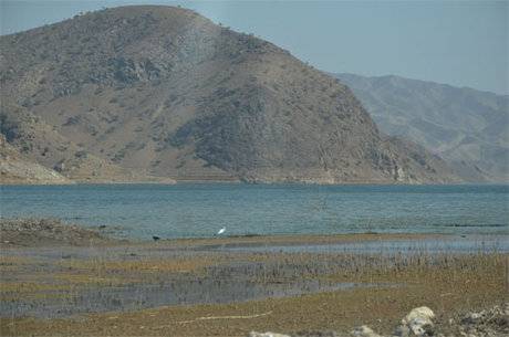 سدهای تهران پرآب تر از پارسال