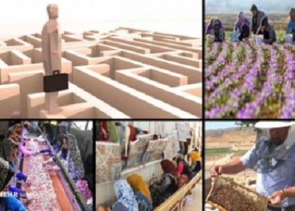 جزئیات اجرای الگوی جدید مشاغل خانگی در ۹ استان