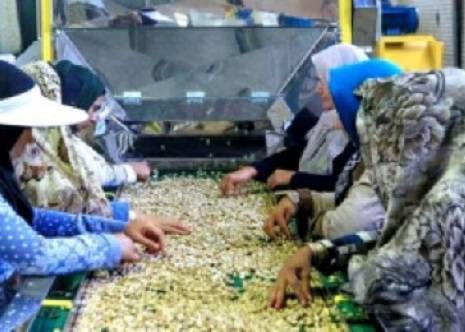 ایجاد ۱۰۰ هزار فرصت شغلی جدید در روستاها تا پایان امسال