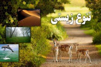 توضیحات محیط زیست درباره پایش تنوع زیستی در سال آینده