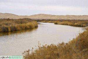گاوخونی جان دوباره گرفت