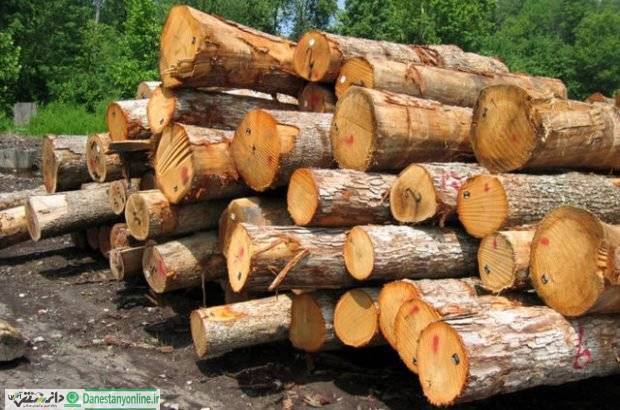 خیز جنگلداری برای مبارزه فرهنگی با چوب بری