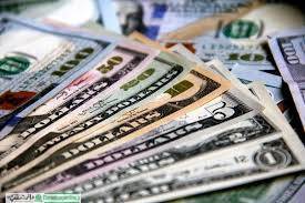نیما ۲۰ میلیارد یورو ارز عرضه کردهاست