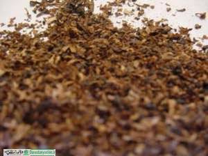 واحدهای زیرزمینی تولید تنباکو از محدودیت است
