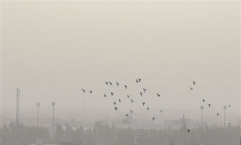 آلودگی هوا